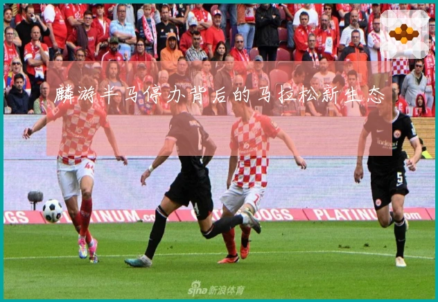 麟游半马停办背后的马拉松新生态