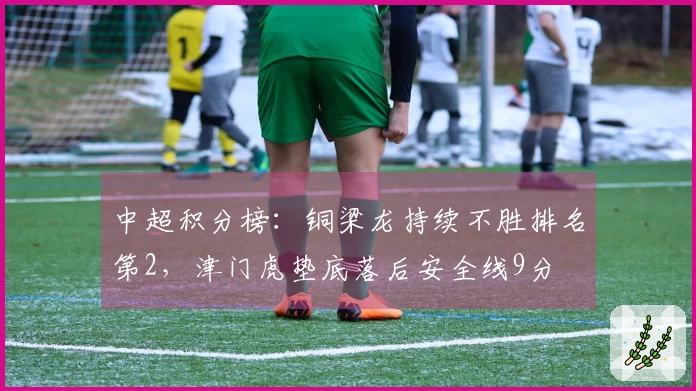 中超积分榜：铜梁龙持续不胜排名第2，津门虎垫底落后安全线9分